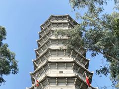 -深圳国际园林花卉博览园