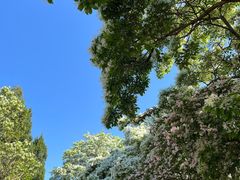 -国家植物园南园