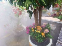 -野渡坡·极致湘菜·庭院餐厅(汉阳店)