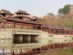 -重庆彩云湖湿地公园
