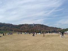 -羊山湖公园