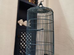 -hallch好吃餐厅(奥体中心店)
