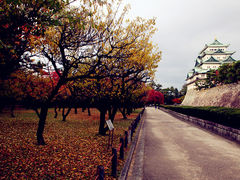 -名古屋城