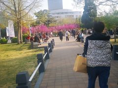 -茶百道(大卫城店)