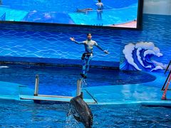 -海合安成都极地海洋公园