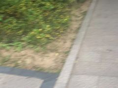 -船政文化景区-罗星塔公园