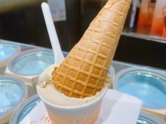 开心果Pistachio-Dip in Gelato(富民路店)