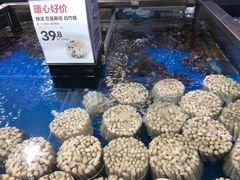 -盒马X会员店(王府井奥莱UP TOWN店)