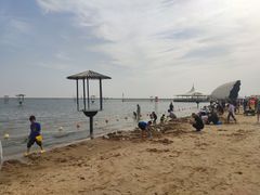 -碧海金沙