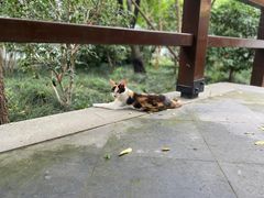 -静安公园(静安寺街道)