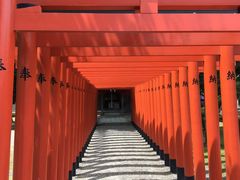 -水前寺成趣园