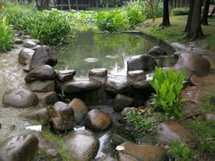 -陈家山荷花公园