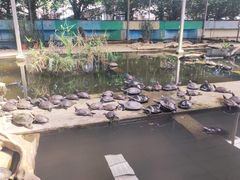-广州长隆飞鸟乐园