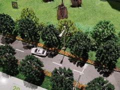 -南宫五洲植物乐园