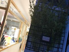-白日梦奶茶