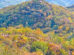 -大岭沟猕猴桃谷风景区