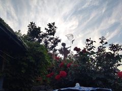 -荒度咖啡(北九水店)