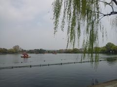 -西湖外事游船(花港观鱼码头)