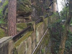 -缙云山景区