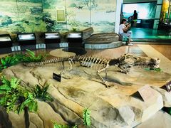 -自贡恐龙博物馆