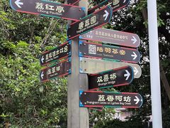 -荔湾湖公园