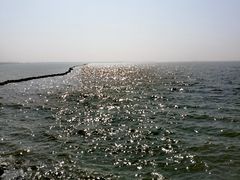 -合肥滨湖国家森林公园