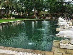-采粤轩中餐厅(惠州金海湾喜来登度假酒店)