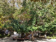 -哈密回王府景区