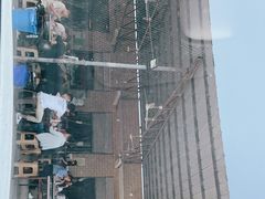 -佰运猪蹄(高陵店)