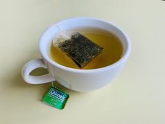 -TSS厄恩斯劳号蒸汽船