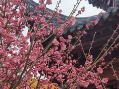 -宝通禅寺