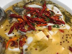 -姚姚酸菜鱼·金戈戈香港豉油鸡(喜荟城联名店)