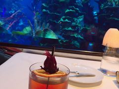 -迪拜帆船酒店海底餐厅