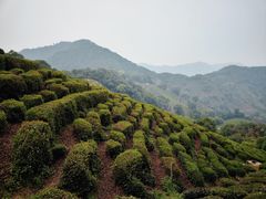 -西湖风景区十里琅珰-五云山