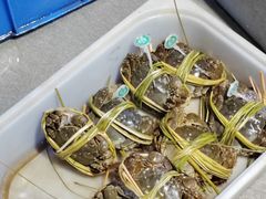-蟹小姐节气生鲜·年货(高新店)