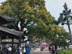 -江心屿景区
