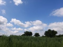 -御道口草原森林风景区