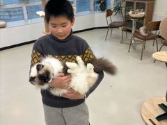 -共舞时光猫咖·狗咖(新街口店)