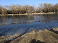 -朝阳公园游乐园