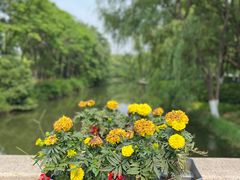 -昆山城市生态森林公园