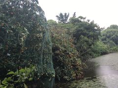 -亮河湾山庄