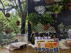 -金芙美月子中心(财富别墅店)