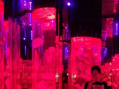 -成都浩海立方海洋公园