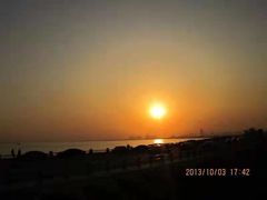 -合肥滨湖国家森林公园