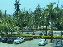 -同禧荟·港味海鲜火锅·粤菜(三亚湾店)
