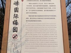 -北京鹫峰国家森林公园