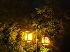 -西安曲江寒窑遗址公园