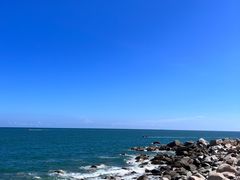 -广东惠东海龟国家级自然保护区