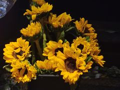 -循礼门鲜花花市(武汉循礼门店)