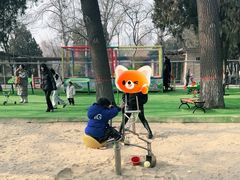 -保定市动物园